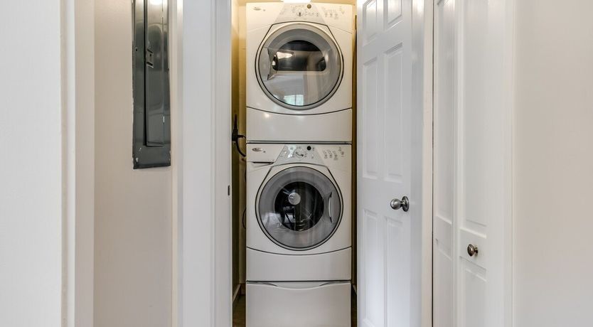 Photo of Ponderosa Pine