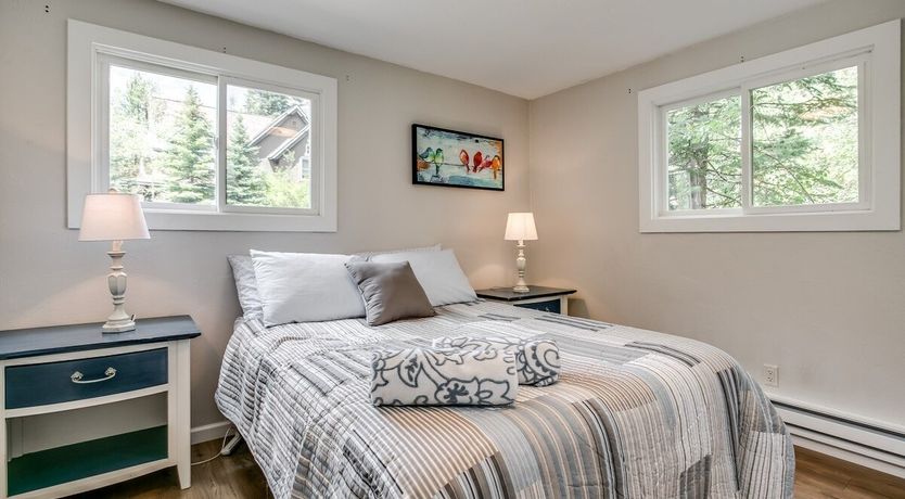 Photo of Ponderosa Pine