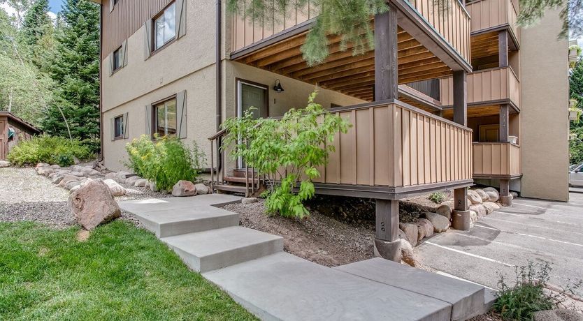 Photo of Ponderosa Pine