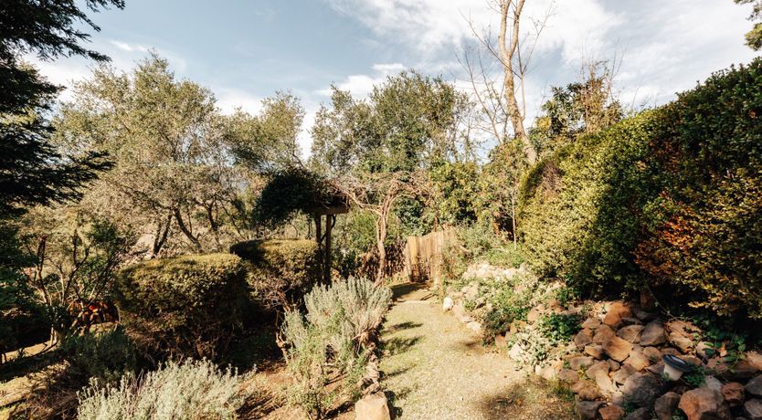 Photo of Cherries & Plums