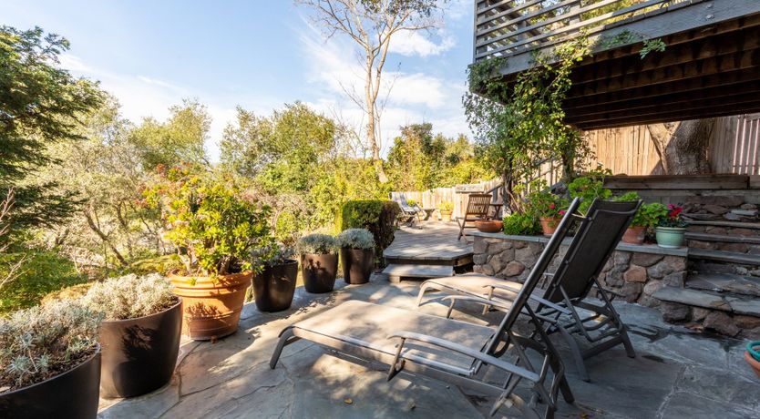 Photo of Cherries & Plums