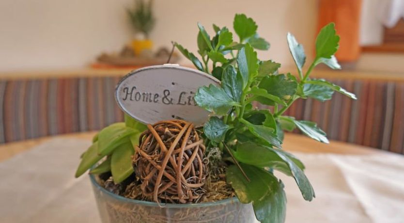 Photo of Leiter Apartment 3