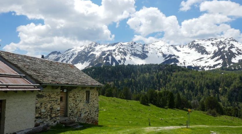Photo of Rustico Dolomia