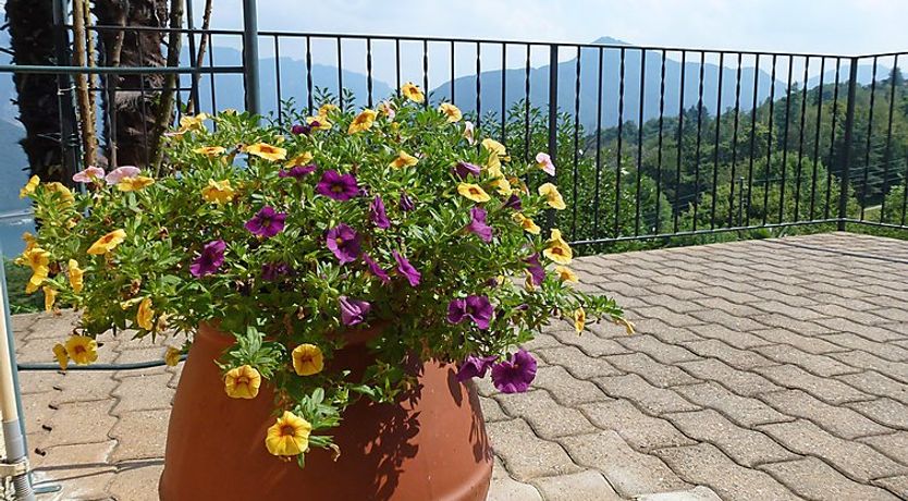 Photo of al Ronchetto