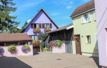 Résidence jaune et rose Holiday Home