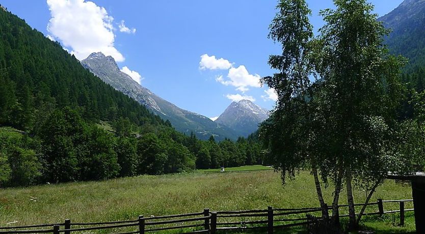 Photo of Amici Apartment 2