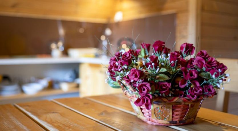 Photo of Super Hacjenda Apartment 4