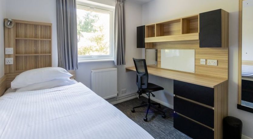 Photo of University Campus Park Wood