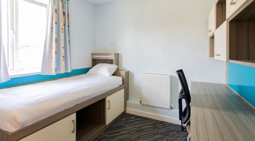 Photo of University Campus Park Wood