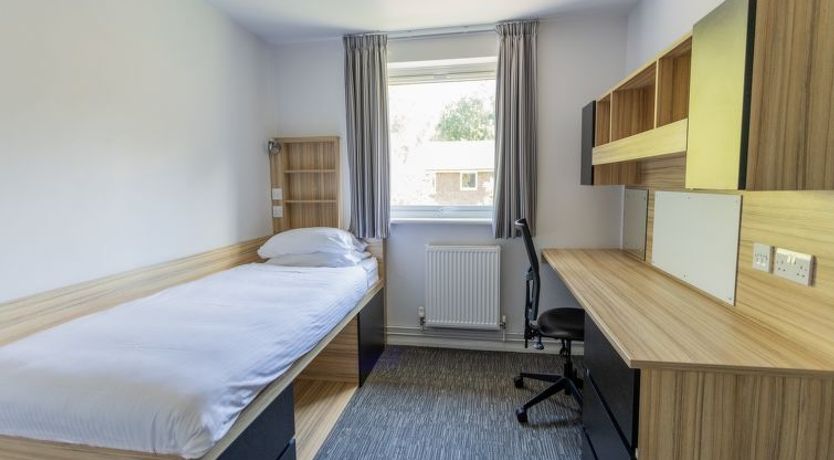 Photo of University Campus Park Wood