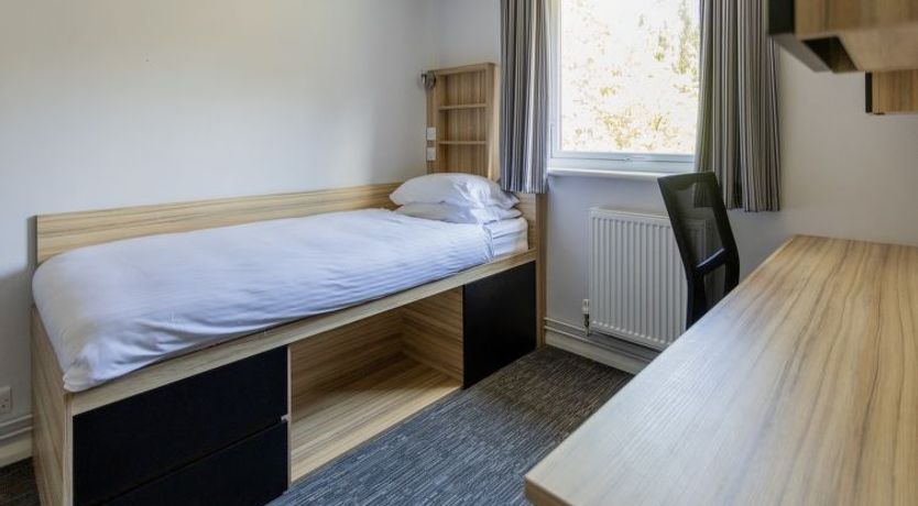 Photo of University Campus Park Wood