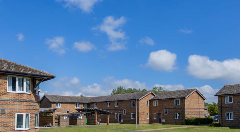 Photo of University Campus Park Wood