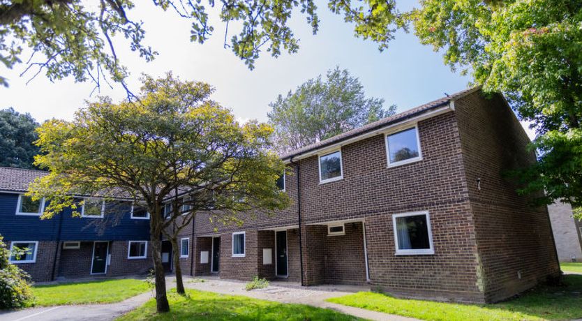 Photo of University Campus Park Wood