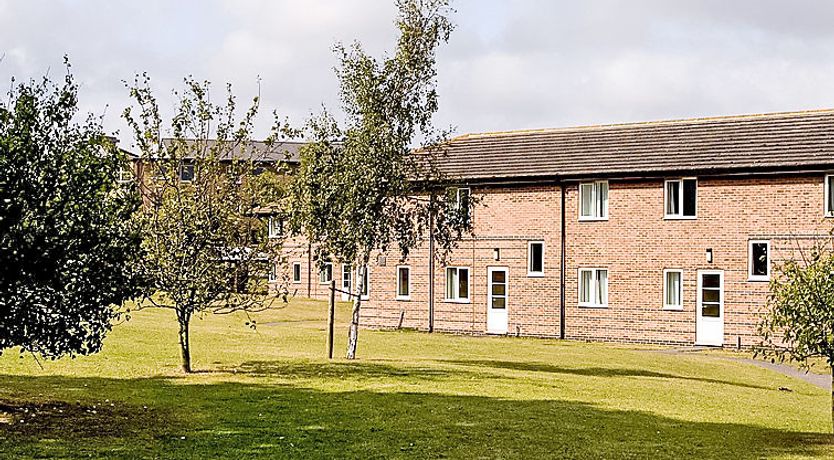 Photo of University Campus Park Wood