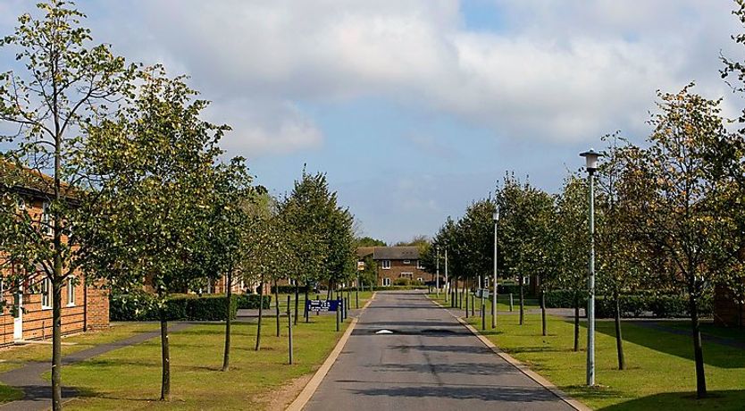 Photo of University Campus Park Wood