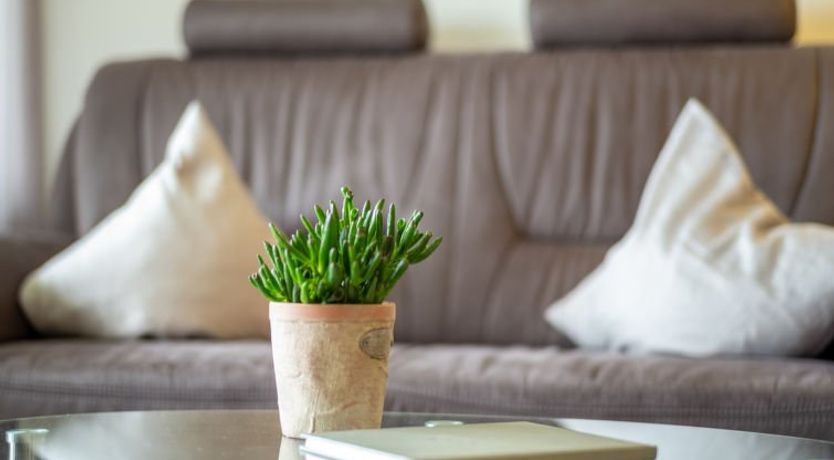 Photo of Schönblick (F 55) Apartment 32