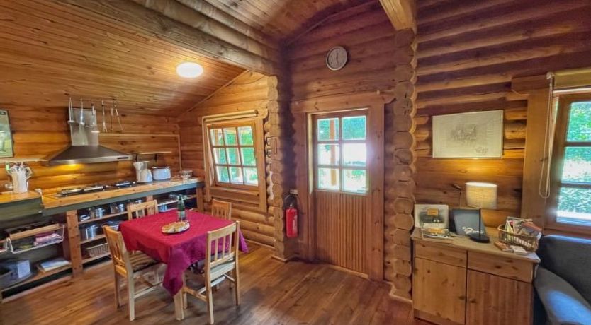 Photo of Birdieferienhaus