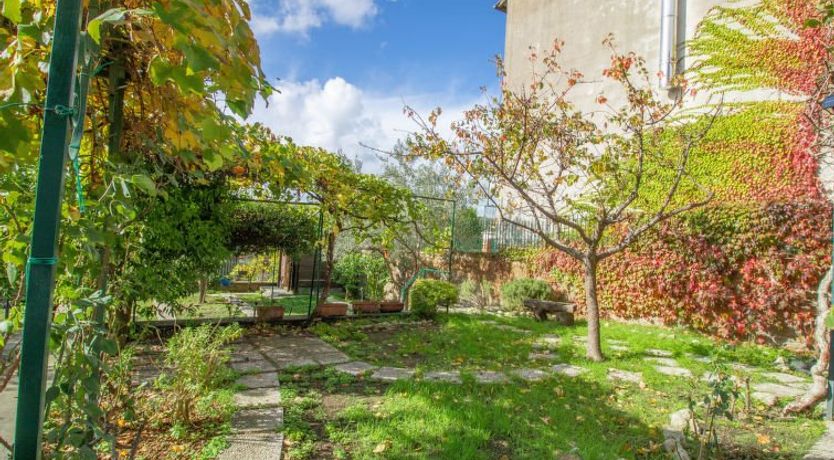 Photo of Kiwi e L'uva - Tuscia