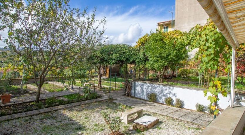 Photo of Kiwi e L'uva - Tuscia