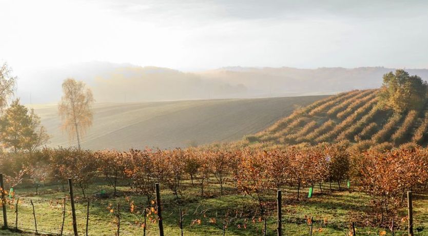 Photo of Jura dla Ciebie Holiday Home 2