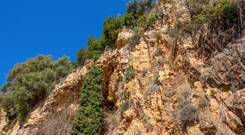 Photo of Vista Halcon Holiday Home 3