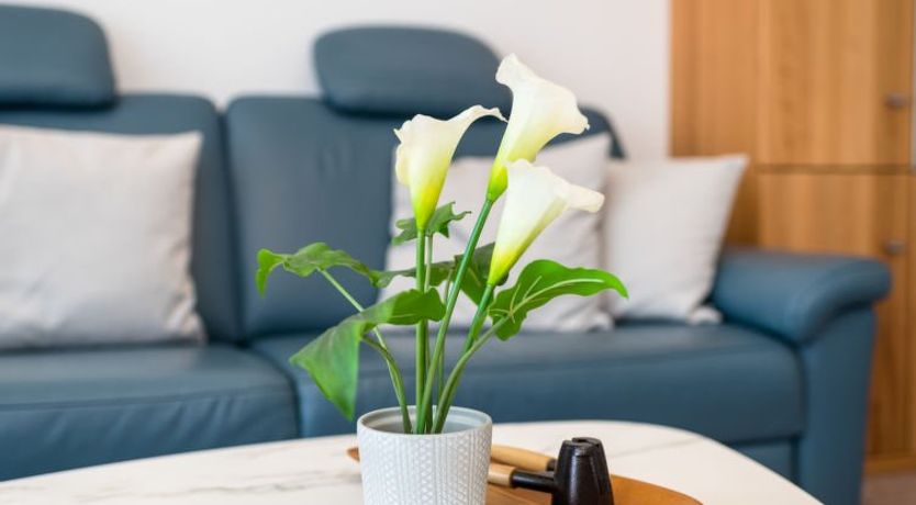 Photo of Horizont (B1014) Apartment 73