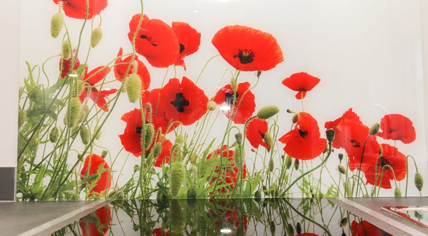 Photo of Albie’s End