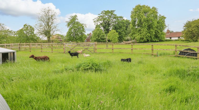 Photo of Avenue Croft