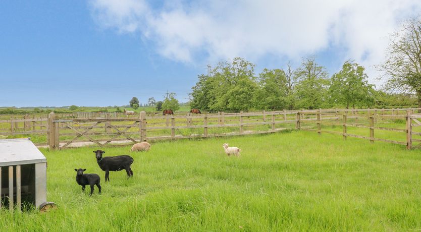 Photo of Avenue Croft