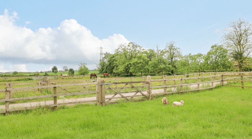 Photo of Avenue Croft