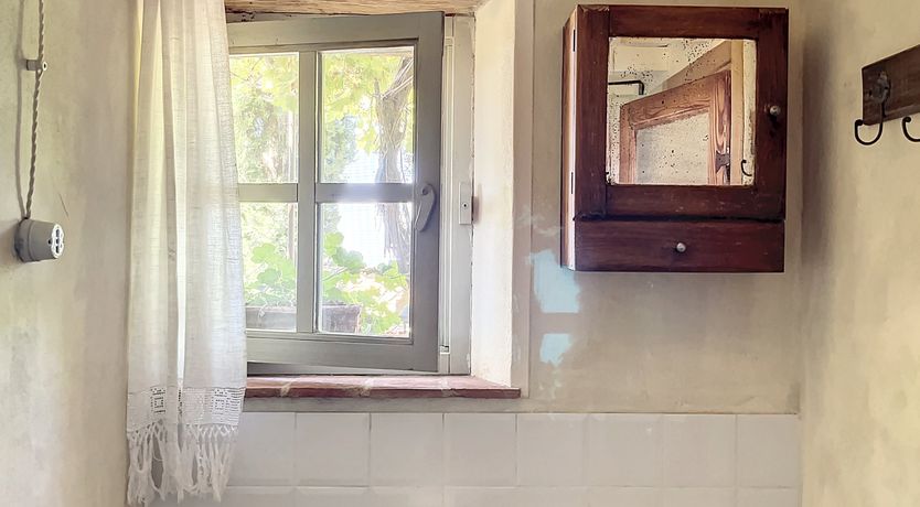 Photo of Wild Primrose Seeds