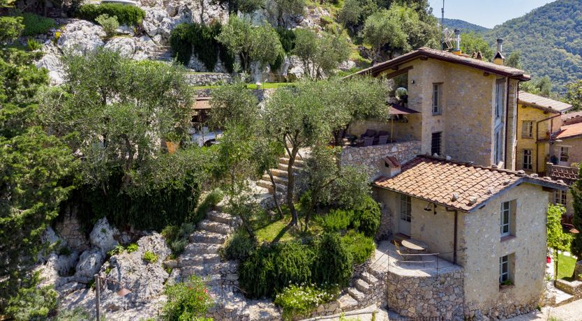 Photo of Wild Primrose Seeds