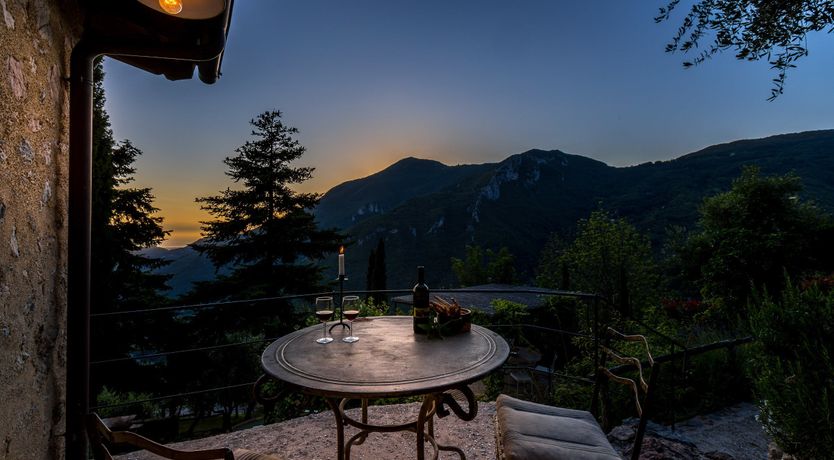 Photo of Wild Primrose Seeds