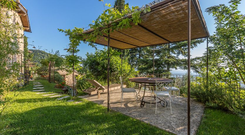 Photo of Wild Primrose Seeds