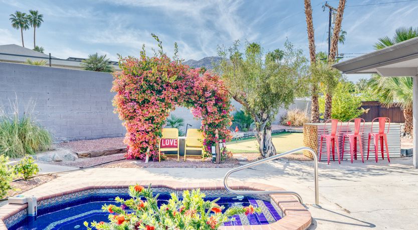 Photo of South Palm Daydream