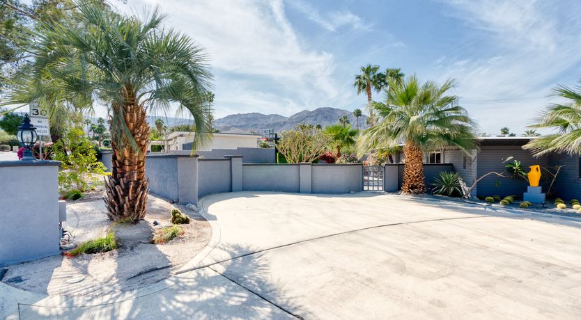 Photo of South Palm Daydream