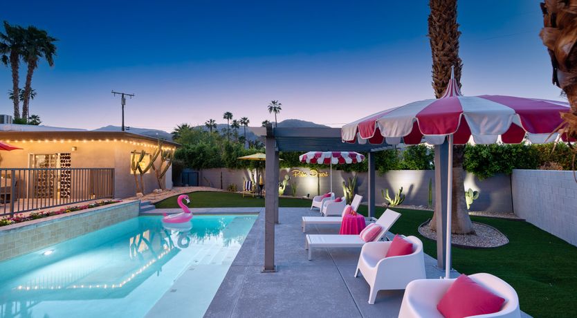 Photo of South Palm Daydream