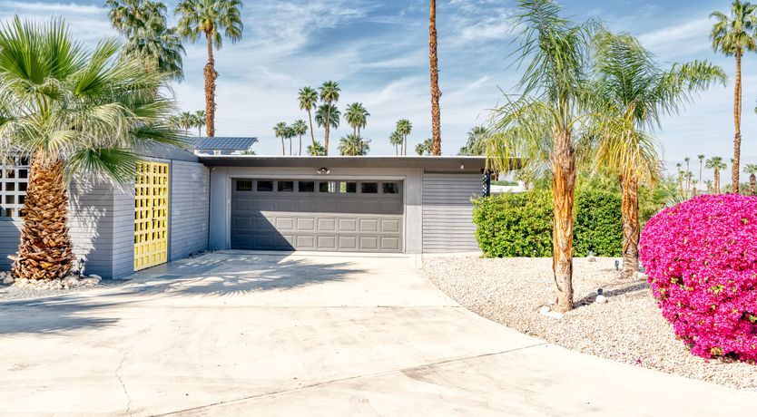 Photo of South Palm Daydream