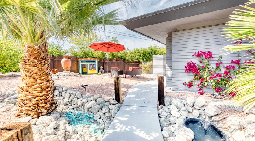 Photo of South Palm Daydream