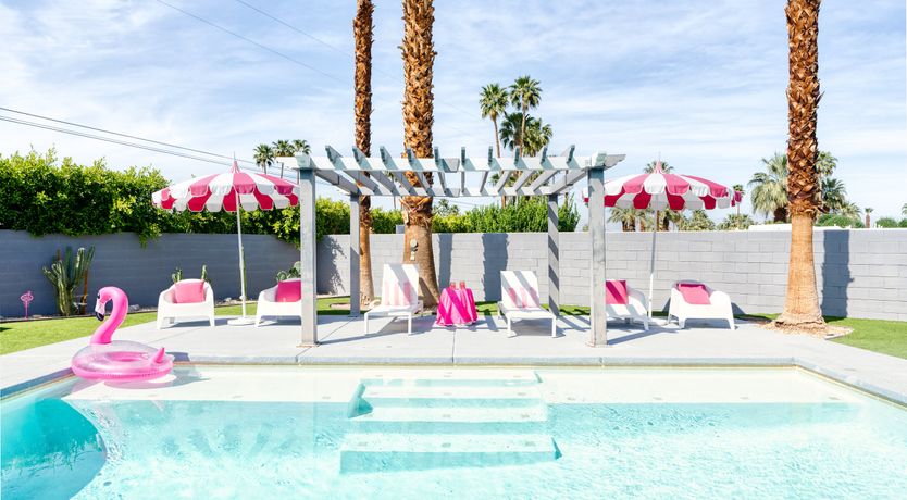 Photo of South Palm Daydream