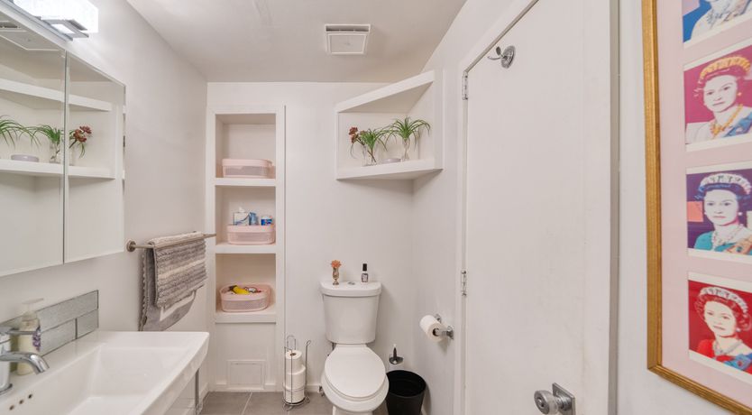 Photo of South Palm Daydream