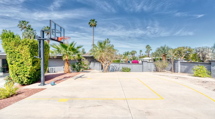 Photo of South Palm Daydream