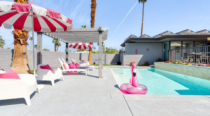 Photo of South Palm Daydream