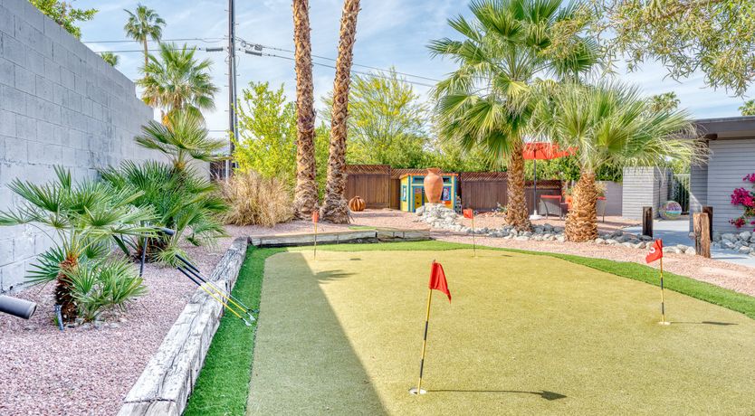 Photo of South Palm Daydream