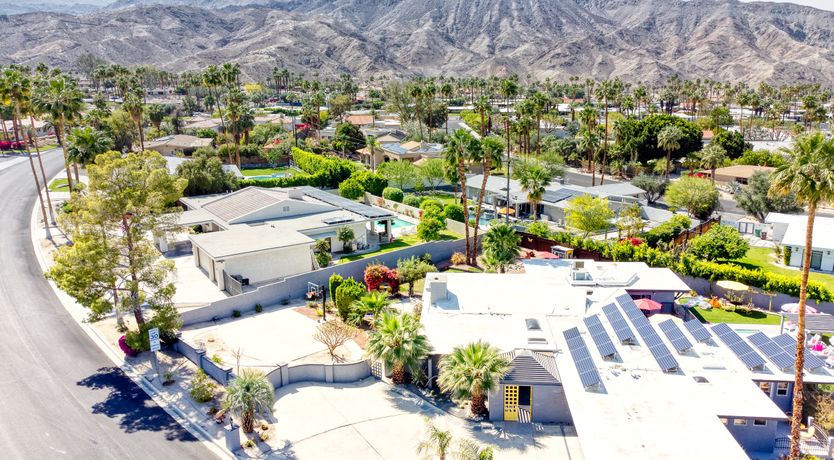 Photo of South Palm Daydream