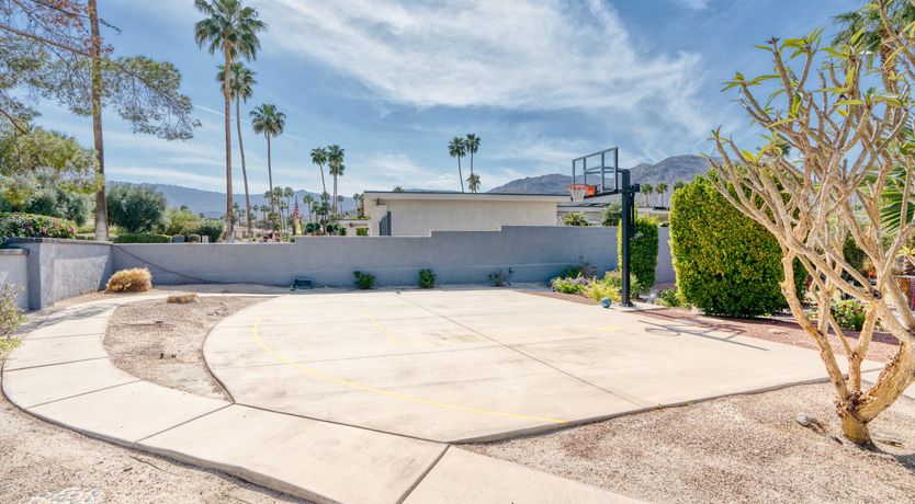 Photo of South Palm Daydream