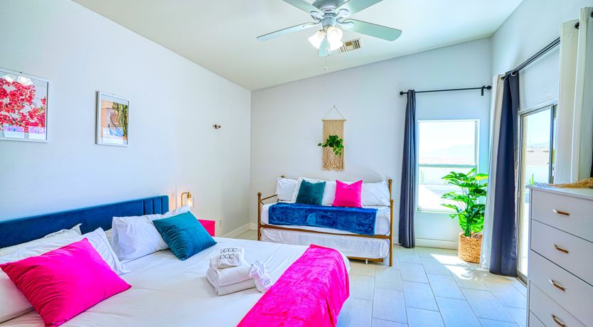 Photo of Cactus Blossom