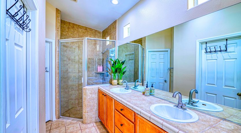 Photo of Cactus Blossom