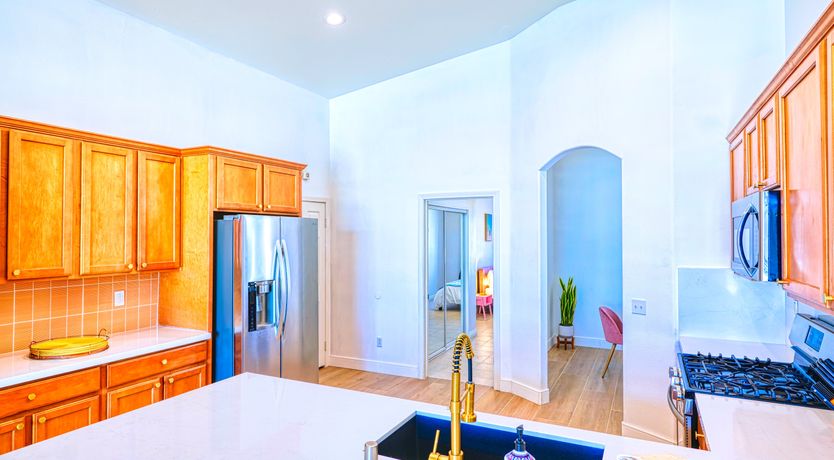 Photo of Cactus Blossom