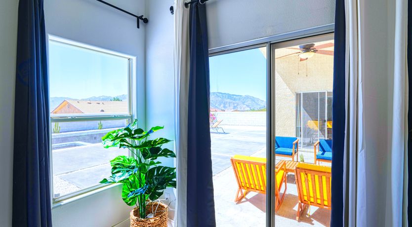 Photo of Cactus Blossom